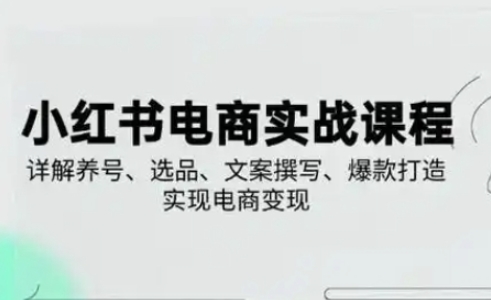 小红书从0-1实操课(2023-2025),详解养号、选品、文案撰写、爆款打造实现电商变现-轻创终点站